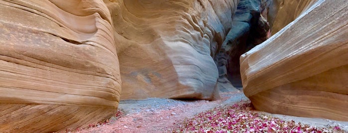 Paria Canyon is one of Cool Places to Visit.
