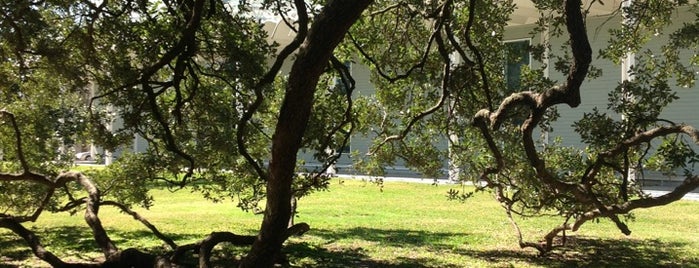 Menil Park is one of Zach's Saved Places.