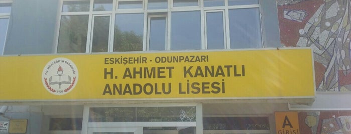 H. Ahmet Kanatlı Anadolu Lisesi is one of Odunpazarı Anaokulu, İlk, Ortaokul ve Liseleri.