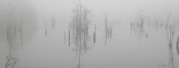 درياچه ارواح | Ghost Lake is one of Shomal🇮🇷.