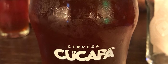 Cucapá Brewing Co. is one of regresando a GDL.