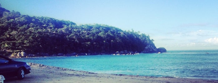 Praia da Ilhota is one of Locais curtidos por Jorej.