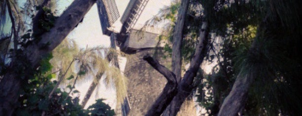 Morgan Lewis Windmill is one of Karibik.