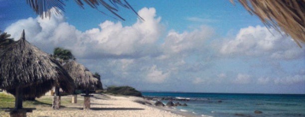 Arashi Beach is one of Aruba Must Vist.