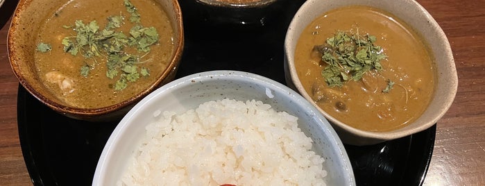 Spice Curry Shinkai is one of スパイスカレー（東京）🍛.