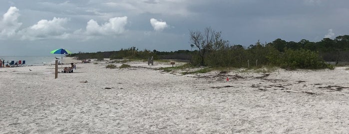 Honeymoon Island State Park is one of Tampa And around.