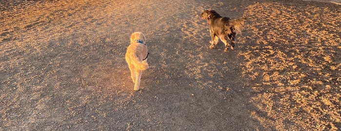 The Great Bark Dog Park is one of Love Life in Lafayette.