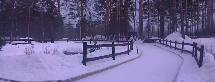 Лесной каток is one of Kolya : понравившиеся места.