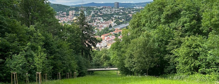 Wilsonův les - vyhlídka is one of Brno Parks.