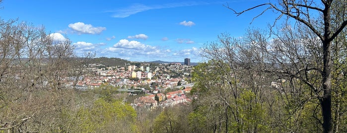 Wilsonův les - vyhlídka is one of Parks and other natural areas in Brno.