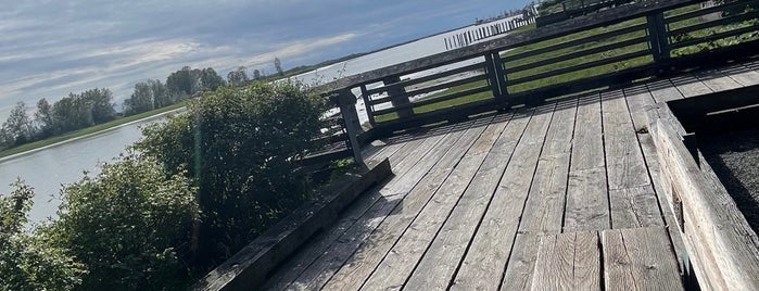 Steveston Boardwalk Pier is one of Adventure time with A&A ❤️.