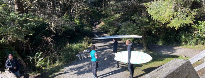 Pacific Rim National Park is one of Vancouver Island.