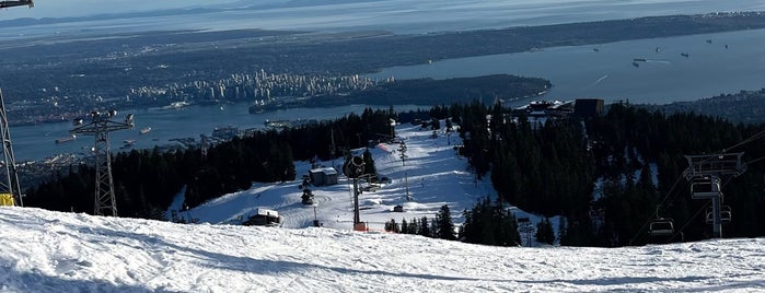 Grouse Mountain is one of Van City.