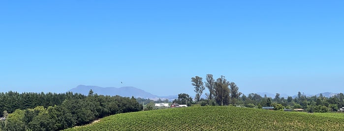 Iron Horse Vineyards is one of Beyond the Peninsula.