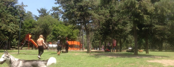 Parque Rufino Tamayo (Perros) is one of Lieux sauvegardés par Andrea.