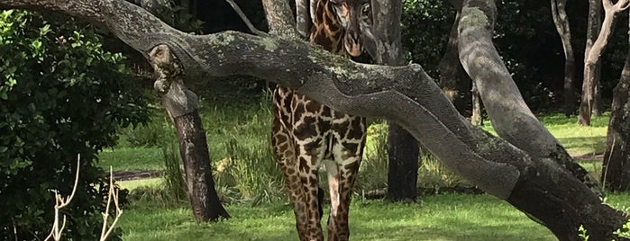 Animal Programs Administration is one of Jeff'in Beğendiği Mekanlar.