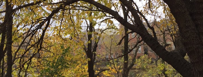 Hayes Park {Chicago Park District} is one of Locais curtidos por David.