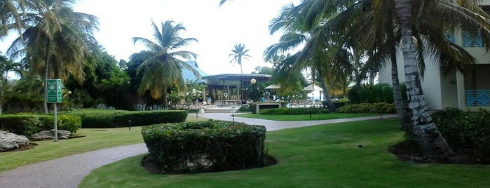 Hotel Dreams, La Romana is one of Best places in Quisqueya, Dominican Republic.