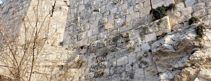 Zedekiah's Cave (King Solomon's Quarries) is one of Tempat yang Disukai Carl.