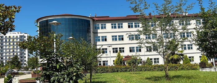 Ordu Üniversitesi is one of Orte, die gül gefallen.