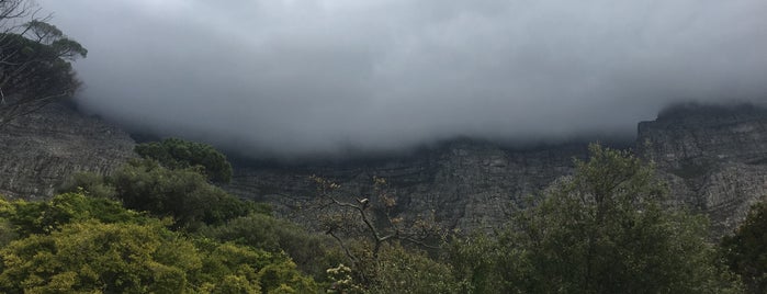 Deer Park is one of Cape Town.