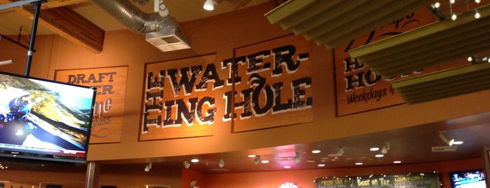 The Watering Hole is one of PHX Beer Bars.