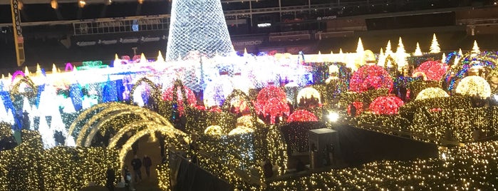 Enchanted Christmas Forrest At Globe Life Park is one of Locais curtidos por Kristin.