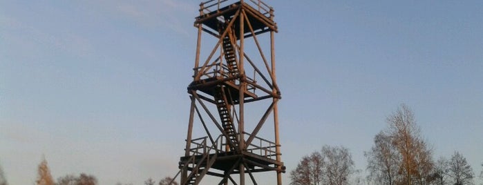 Višķu Putnu Vērošanas skatu tornis is one of Latvijas Skatu torņi.