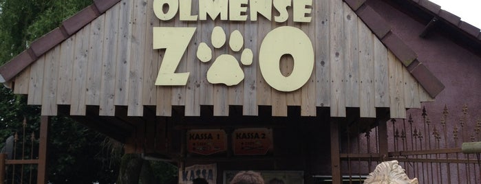 Olmense Zoo is one of To do list Seppe.