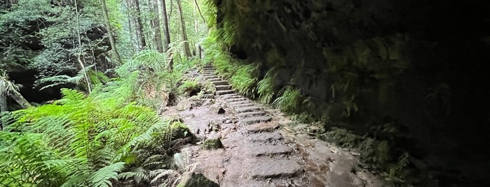 Grand Canyon Track is one of Sydney in 6 Days.