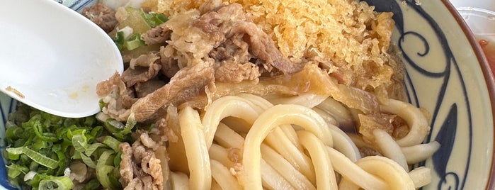 Marugame Udon is one of Berkeley.