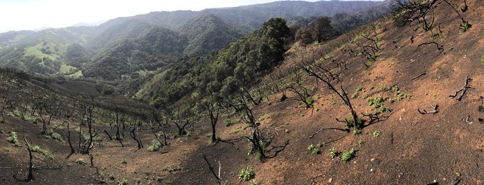 Rancho Cañada Del Oro OSP is one of Gespeicherte Orte von Caroline.