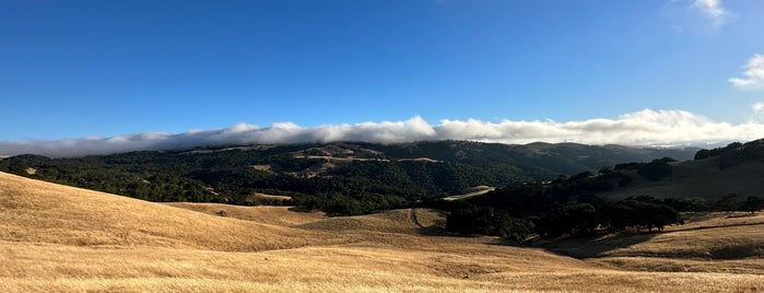 Morgan Territory Regional Preserve is one of To Do: Great Outdoors.