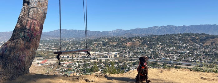Swing on Top of Elysian Park is one of To Do List of LA.