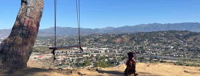 Swing on Top of Elysian Park is one of LA🇺🇸.