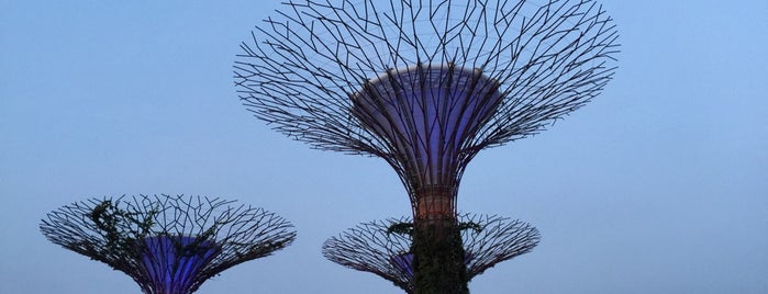 Gardens by the Bay is one of Singapore.