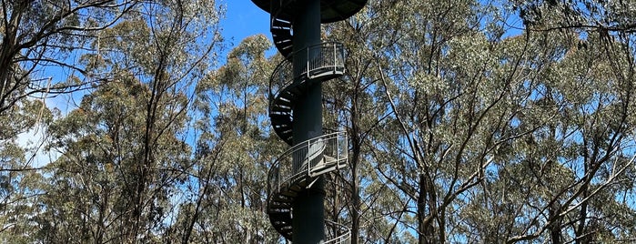 Otway Fly Treetop Walk is one of Melbourne 2013.