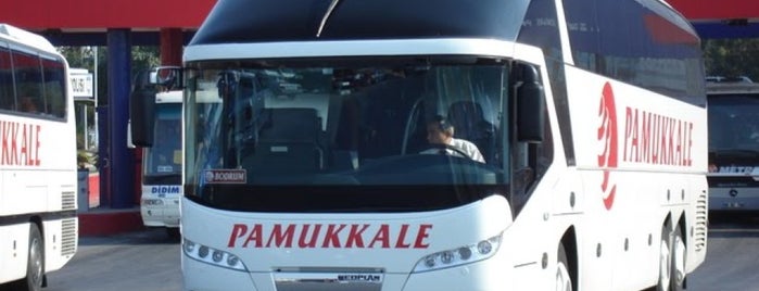 Pamukkale Turizm is one of สถานที่ที่ Ayşe Tolga💕 ถูกใจ.