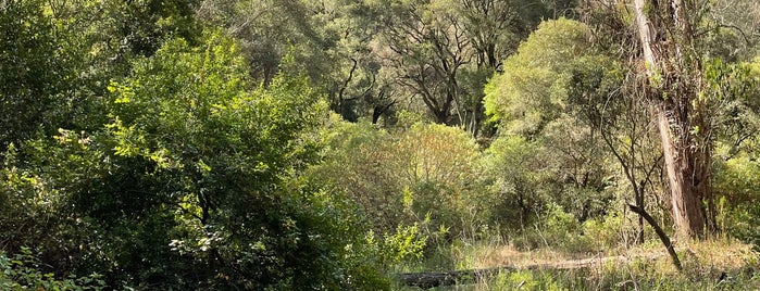 Tilden Nature Area is one of East Bay Regional Park District.