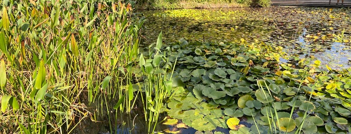 尾根見の池 is one of lake-kanagawa.