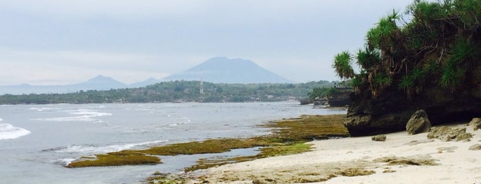 Secret Point Beach is one of Lugares favoritos de Carlo.