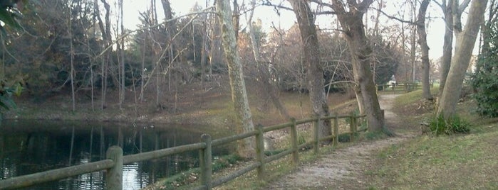 Parco di Villa Manin is one of Pasquetta 2013.