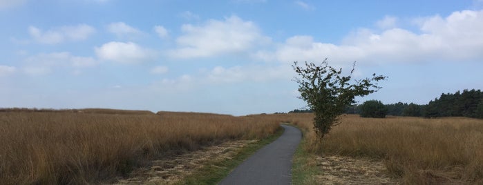 Nationaal Park De Hoge Veluwe is one of Netherlands.