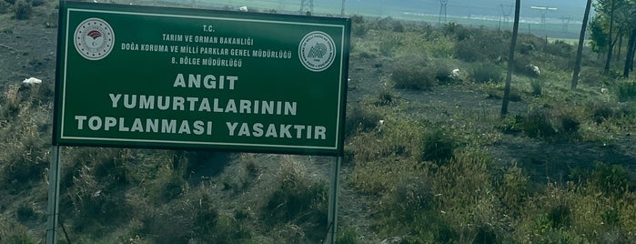 Acıgöl is one of Bir Gezginin Seyir Defteri 2.
