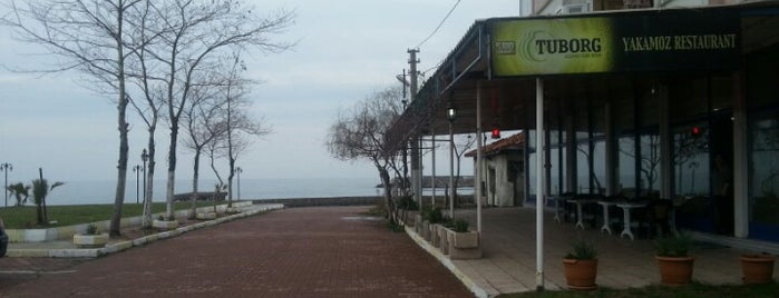 Yakamoz Restaurant Filyos is one of สถานที่ที่บันทึกไว้ของ 🅰li 🅰sl🅰n.