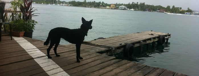 La Buga Dive & Surf is one of Tempat yang Disukai Nik.