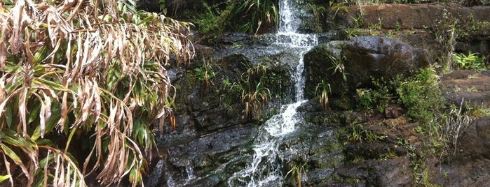 Wiepo'o Falls is one of Kauai.
