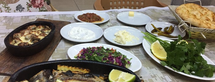 Ramazan Ustanin yeri is one of Locais curtidos por Hayrullah Gargı.