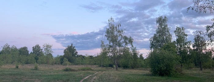 Парк им. 60-летия Великого Октября is one of Могилёв.