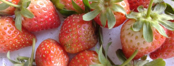 Ciwidey Kebun Strawberry is one of BANDUNG and WEST JAVA.